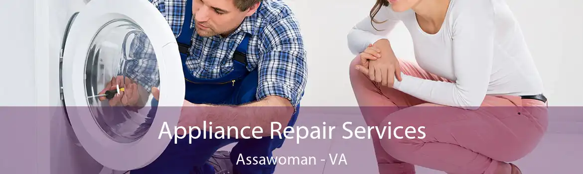 Appliance Repair Services Assawoman - VA