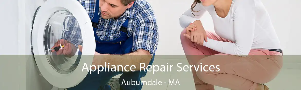 Appliance Repair Services Auburndale - MA