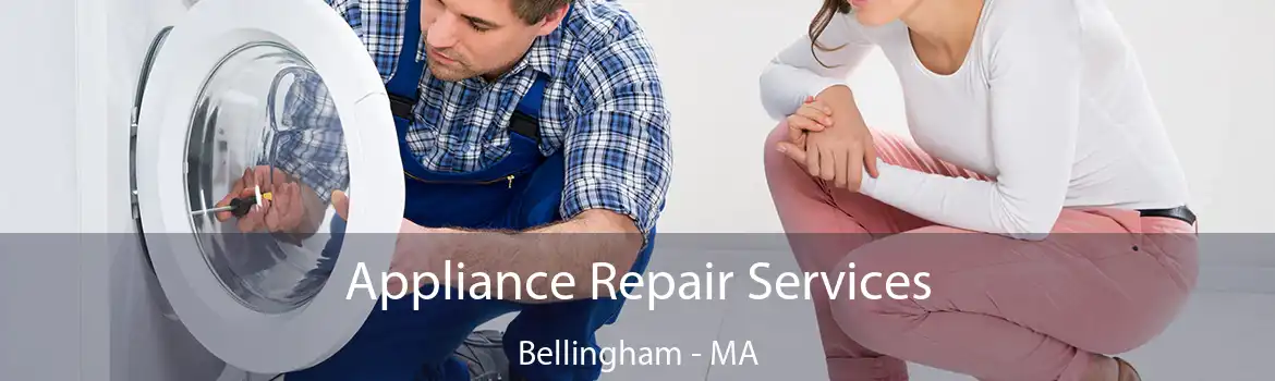 Appliance Repair Services Bellingham - MA