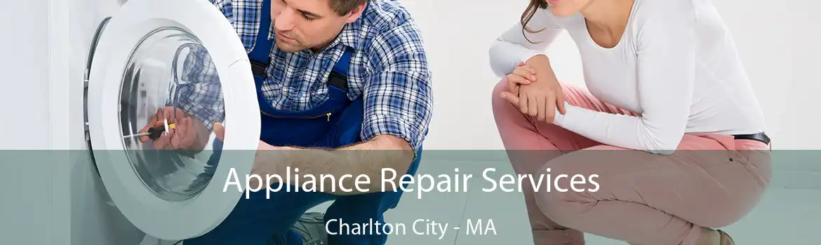 Appliance Repair Services Charlton City - MA