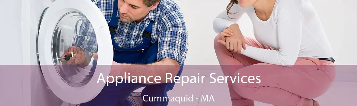 Appliance Repair Services Cummaquid - MA