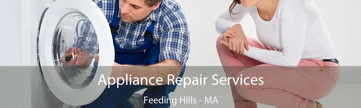 Appliance Repair Services Feeding Hills - MA