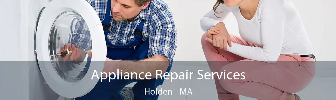 Appliance Repair Services Holden - MA