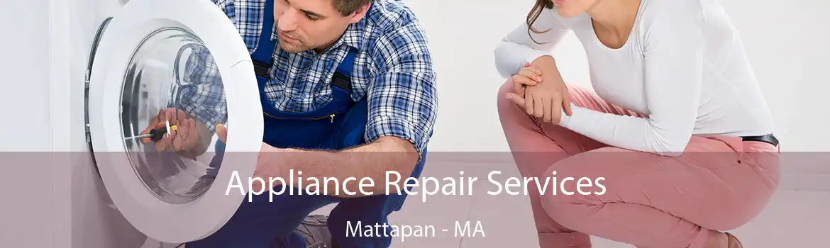 Appliance Repair Services Mattapan - MA