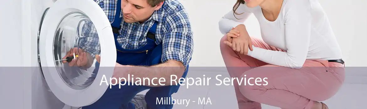 Appliance Repair Services Millbury - MA