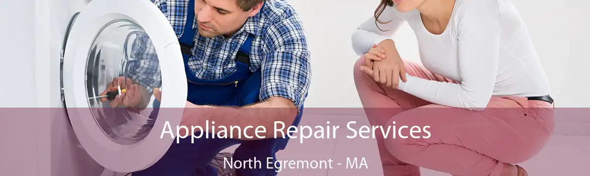 Appliance Repair Services North Egremont - MA