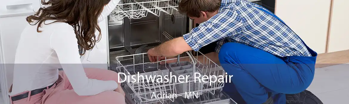 Dishwasher Repair Adrian - MN