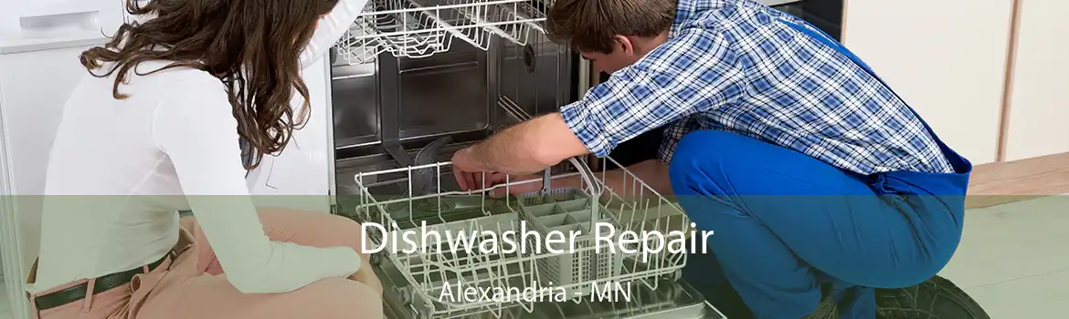 Dishwasher Repair Alexandria - MN