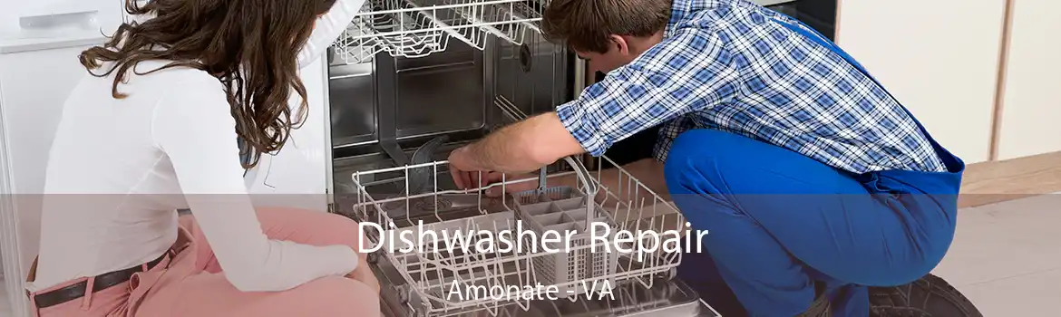 Dishwasher Repair Amonate - VA