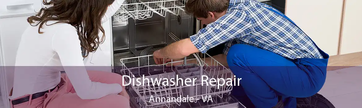 Dishwasher Repair Annandale - VA