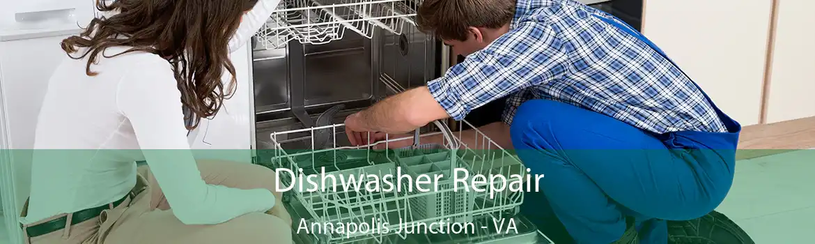 Dishwasher Repair Annapolis Junction - VA