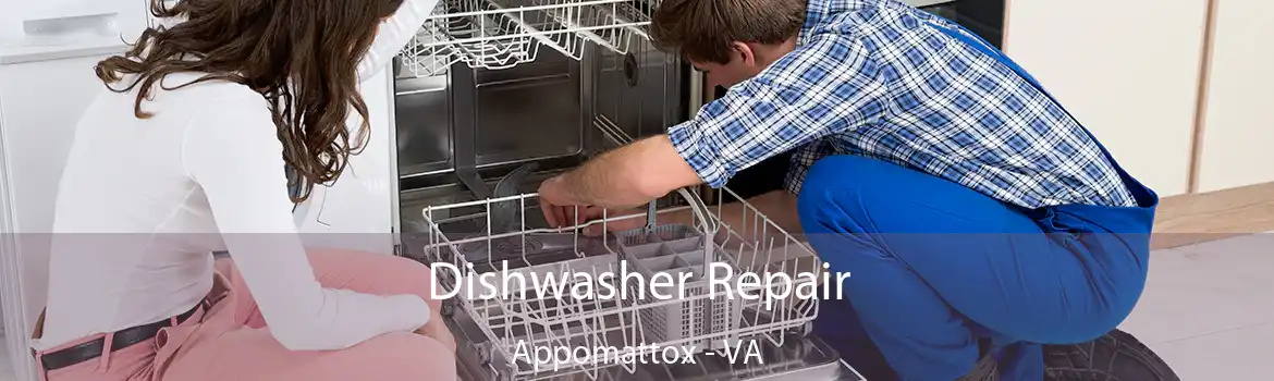 Dishwasher Repair Appomattox - VA