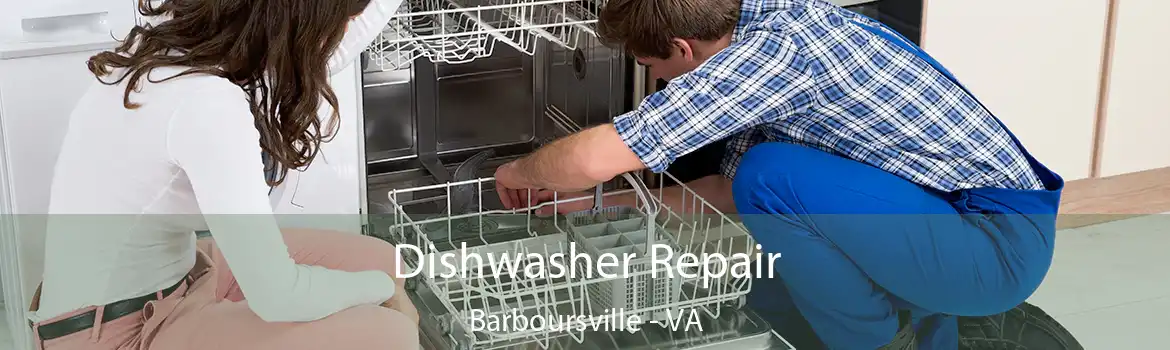 Dishwasher Repair Barboursville - VA