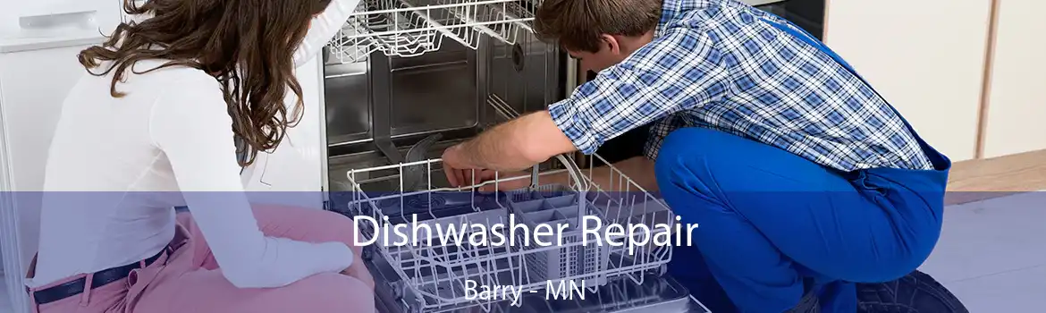 Dishwasher Repair Barry - MN