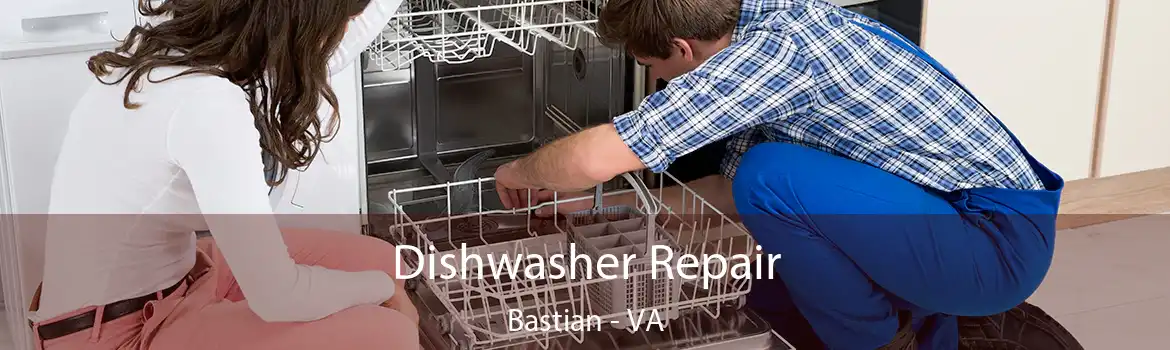 Dishwasher Repair Bastian - VA