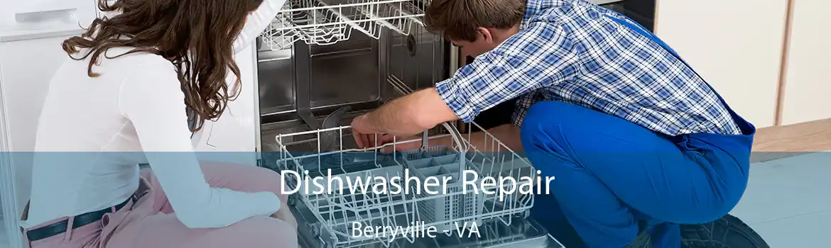 Dishwasher Repair Berryville - VA