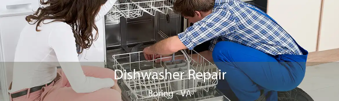 Dishwasher Repair Boring - VA