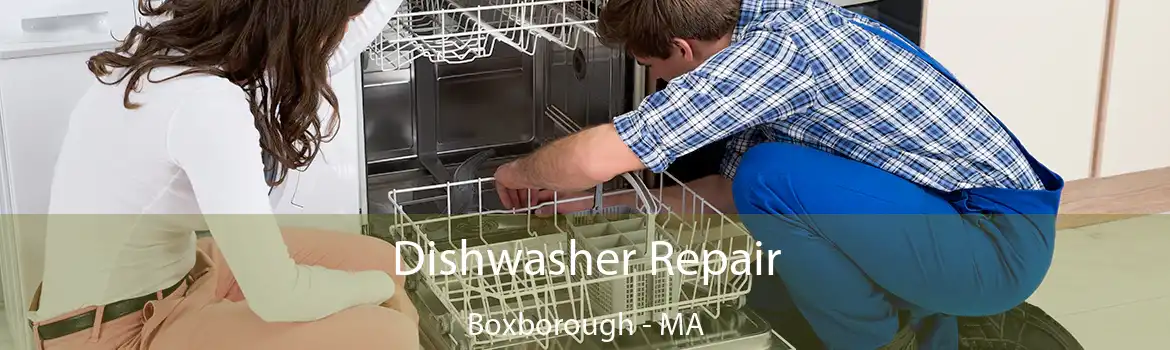 Dishwasher Repair Boxborough - MA