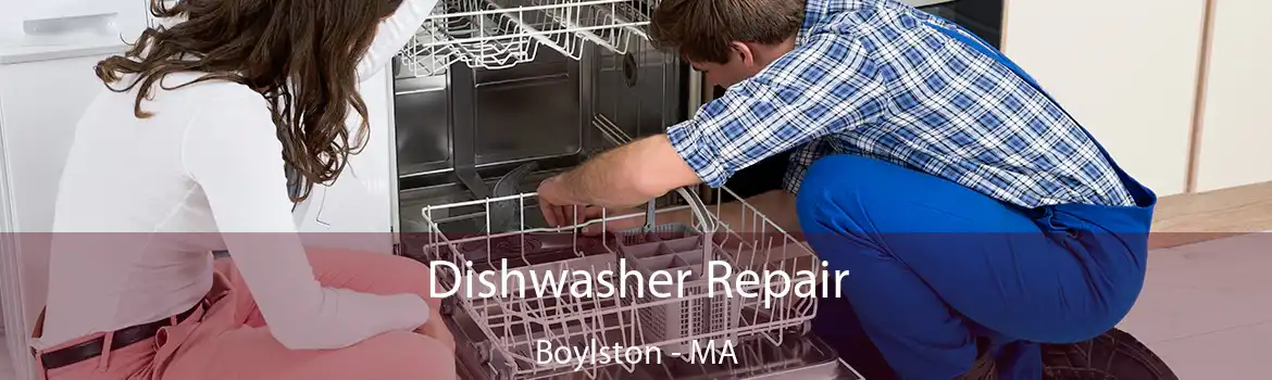 Dishwasher Repair Boylston - MA