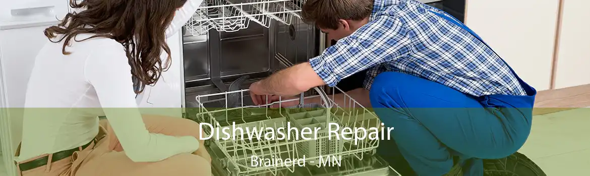 Dishwasher Repair Brainerd - MN