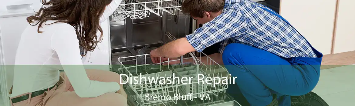 Dishwasher Repair Bremo Bluff - VA