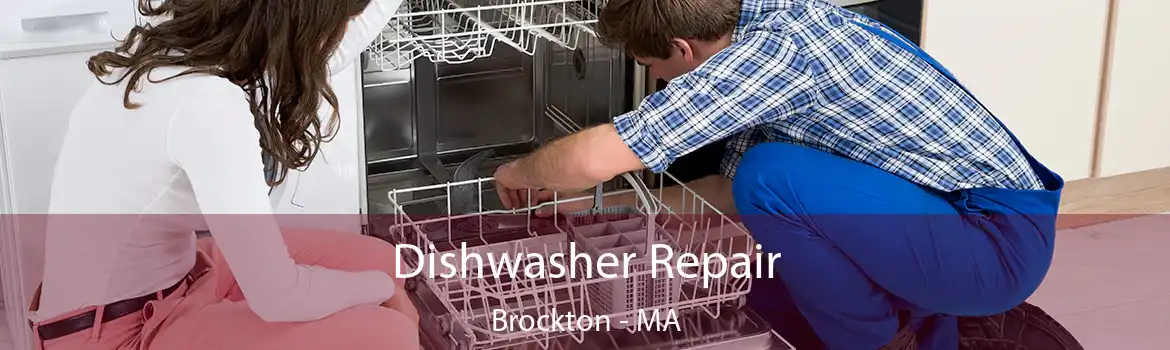 Dishwasher Repair Brockton - MA