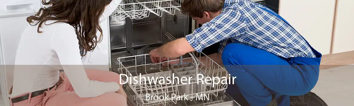 Dishwasher Repair Brook Park - MN