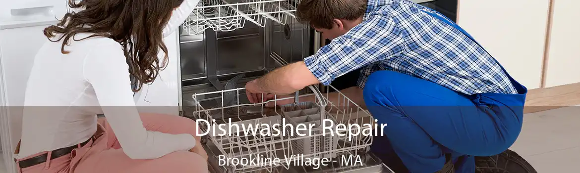 Dishwasher Repair Brookline Village - MA