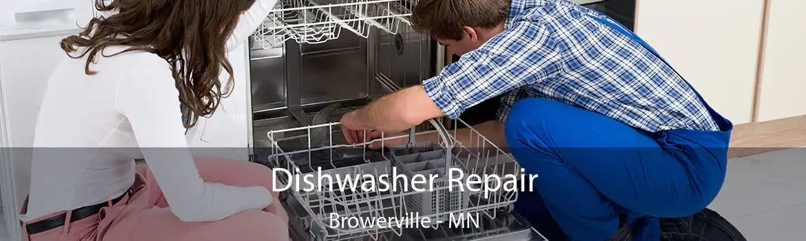 Dishwasher Repair Browerville - MN