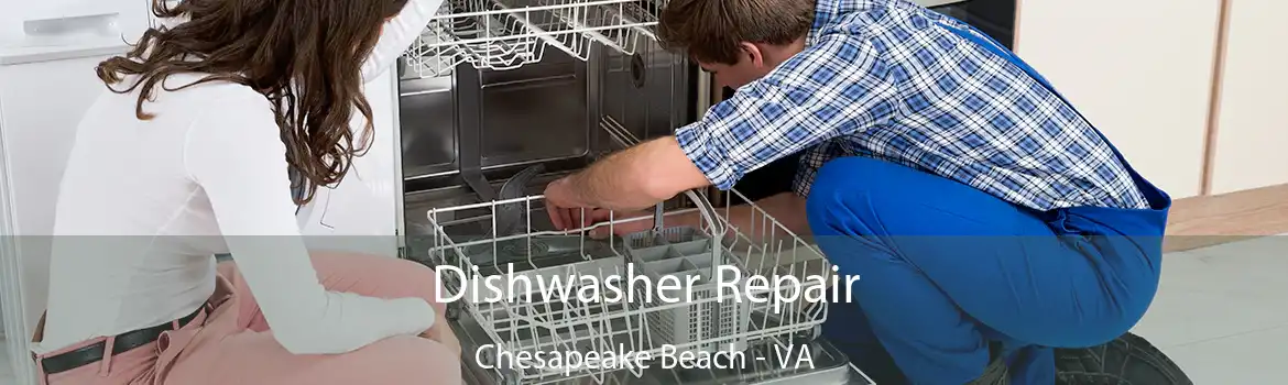 Dishwasher Repair Chesapeake Beach - VA