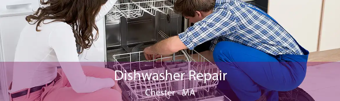 Dishwasher Repair Chester - MA