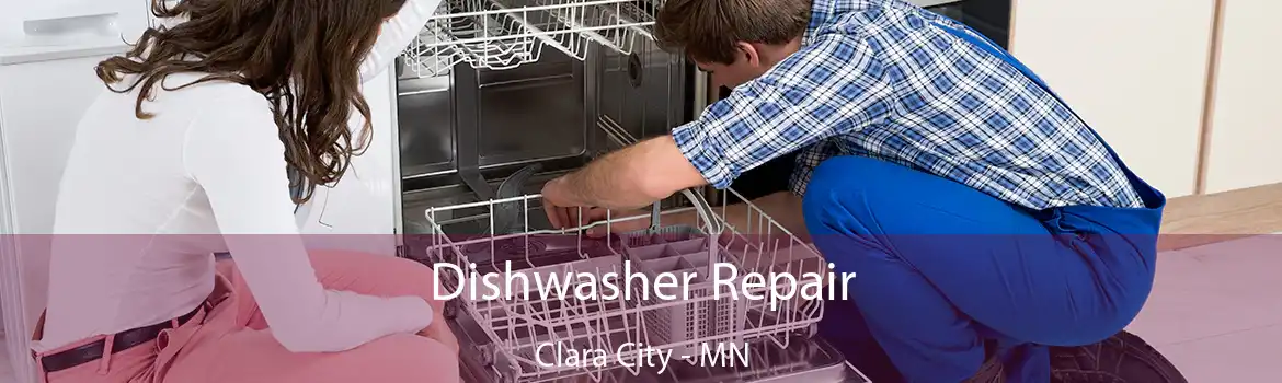 Dishwasher Repair Clara City - MN