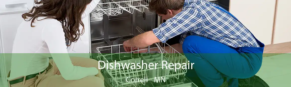 Dishwasher Repair Correll - MN