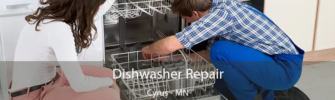 Dishwasher Repair Cyrus - MN