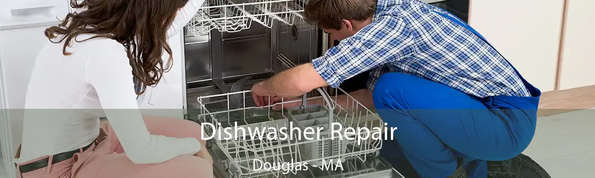 Dishwasher Repair Douglas - MA