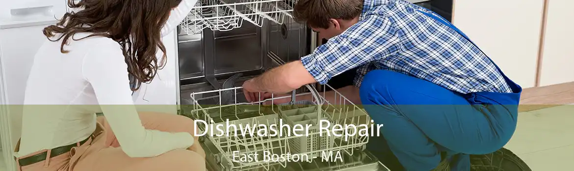 Dishwasher Repair East Boston - MA