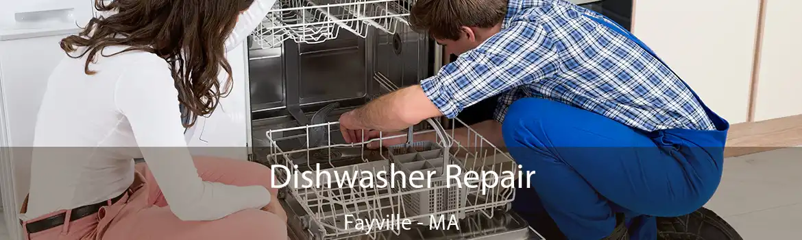 Dishwasher Repair Fayville - MA