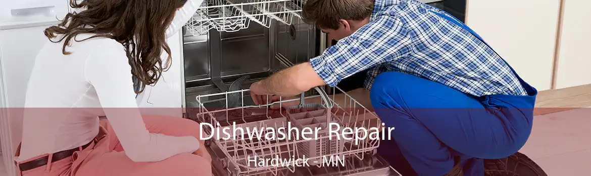 Dishwasher Repair Hardwick - MN