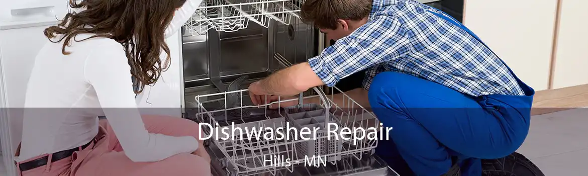 Dishwasher Repair Hills - MN