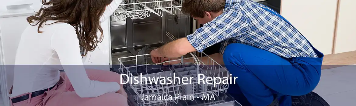 Dishwasher Repair Jamaica Plain - MA