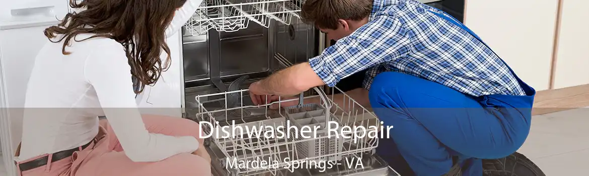 Dishwasher Repair Mardela Springs - VA