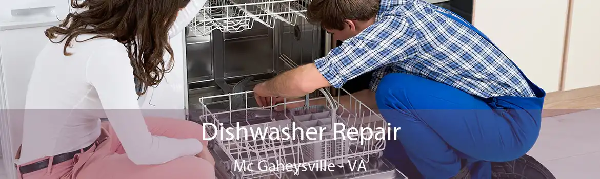 Dishwasher Repair Mc Gaheysville - VA