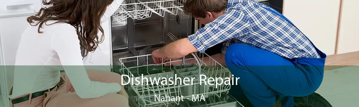 Dishwasher Repair Nahant - MA