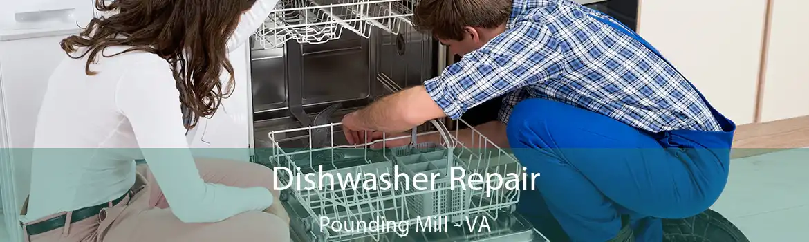 Dishwasher Repair Pounding Mill - VA