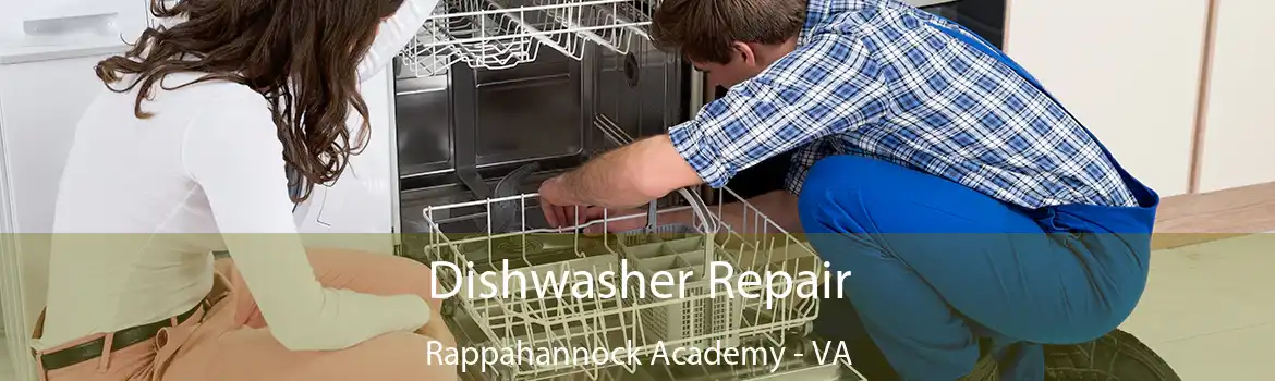 Dishwasher Repair Rappahannock Academy - VA