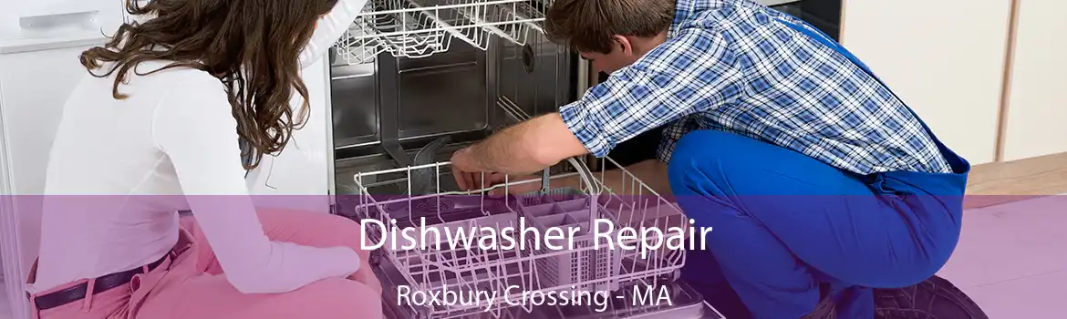 Dishwasher Repair Roxbury Crossing - MA