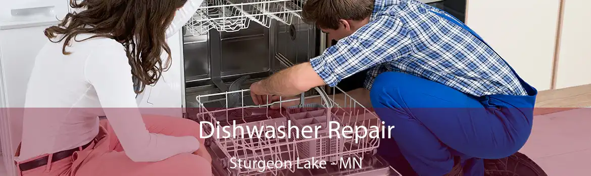 Dishwasher Repair Sturgeon Lake - MN