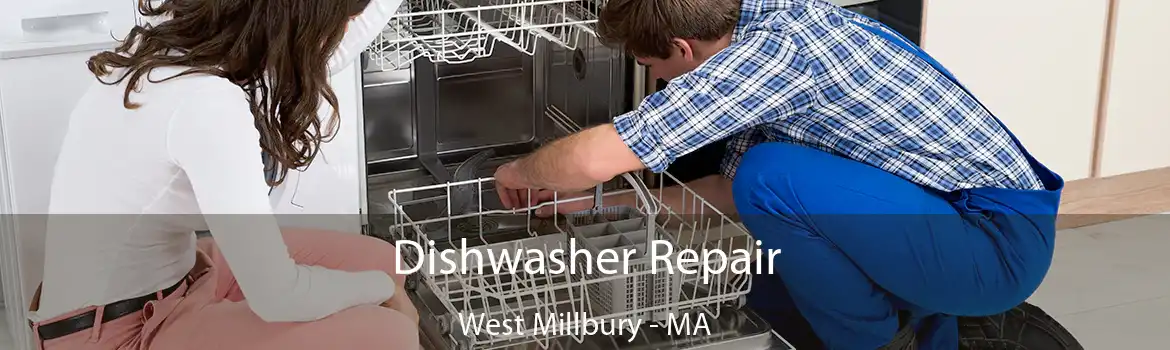 Dishwasher Repair West Millbury - MA