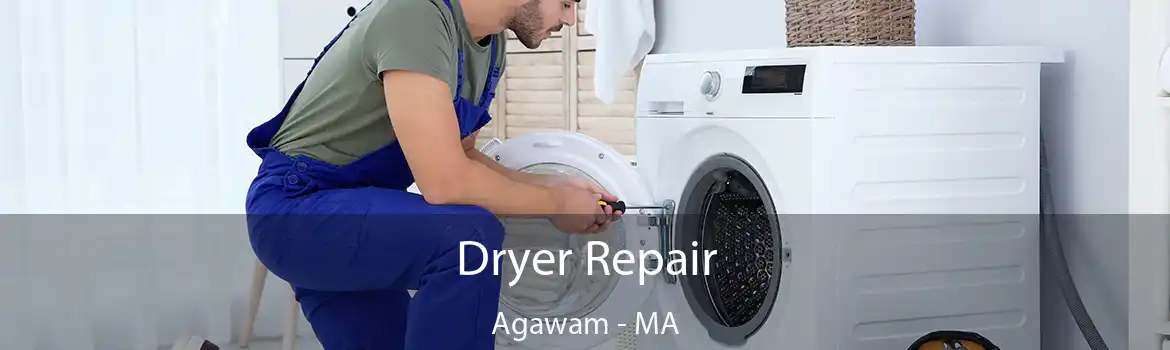 Dryer Repair Agawam - MA