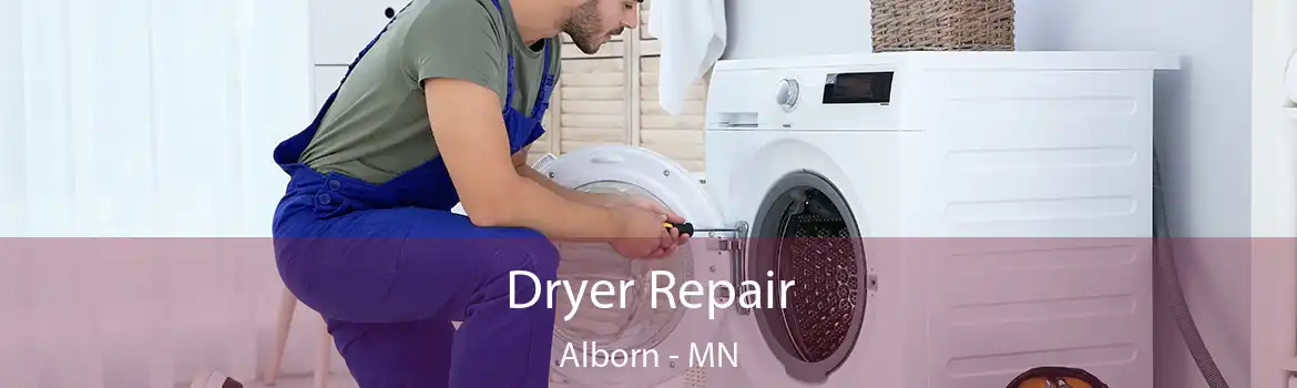 Dryer Repair Alborn - MN